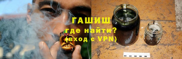 хмурый Пересвет