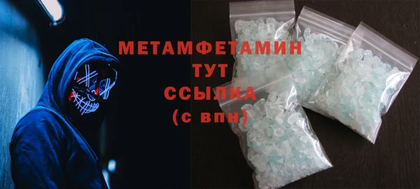 хмурый Пересвет
