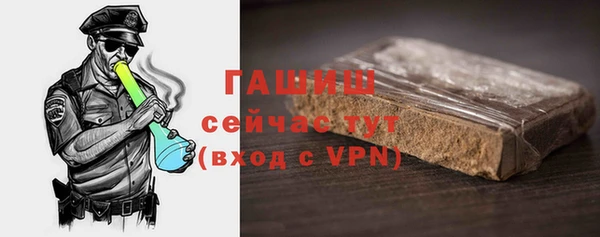 хмурый Пересвет