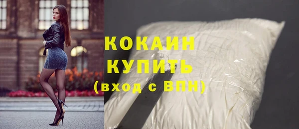 хмурый Пересвет