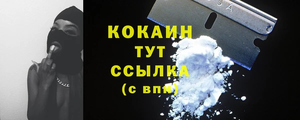 хмурый Пересвет