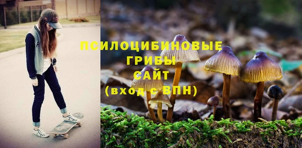 2c-b Осинники