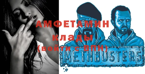 хмурый Пересвет
