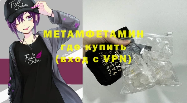 хмурый Пересвет