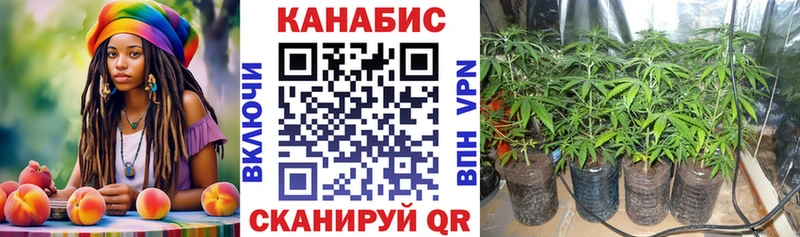 Канабис ГИДРОПОН  Камешково 